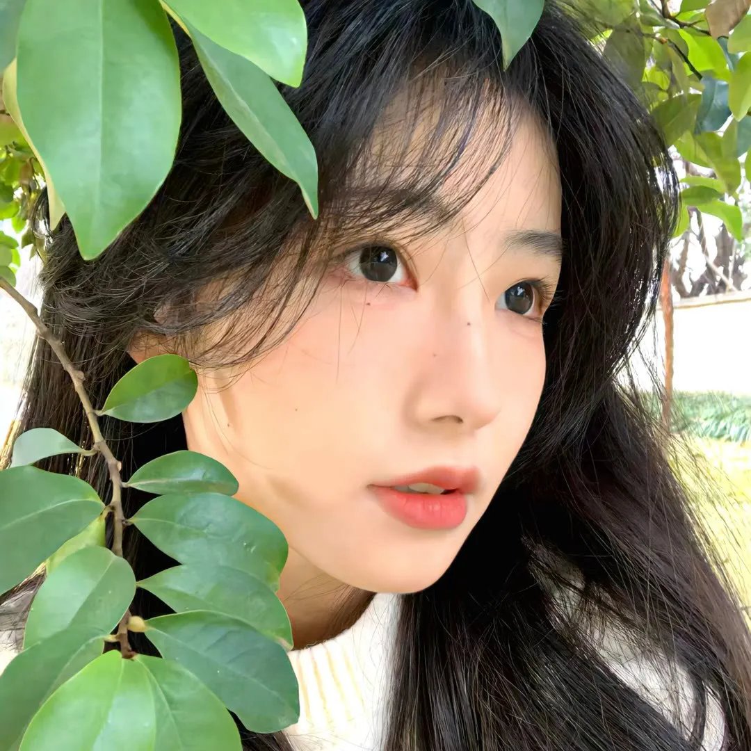 宝贝的新朋友